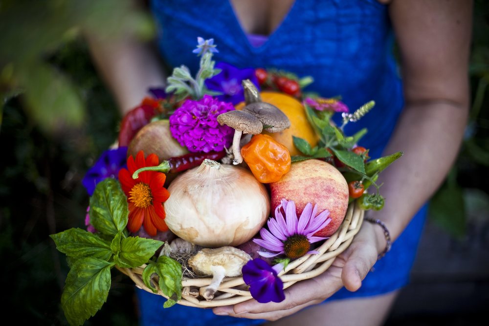 gorgeous garden basket harvest mary catherine penn.jpg