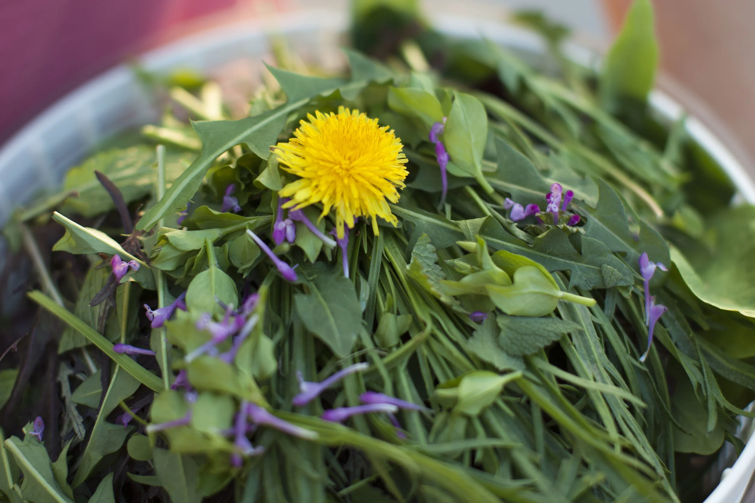 Growing with the Landscape