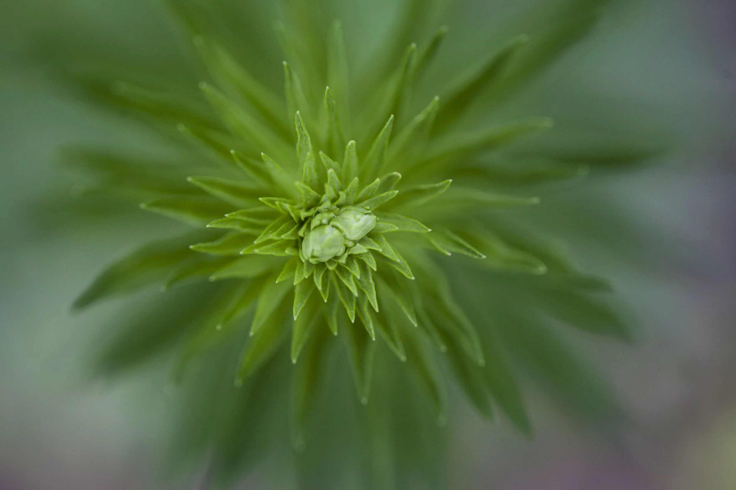 Principles of Design