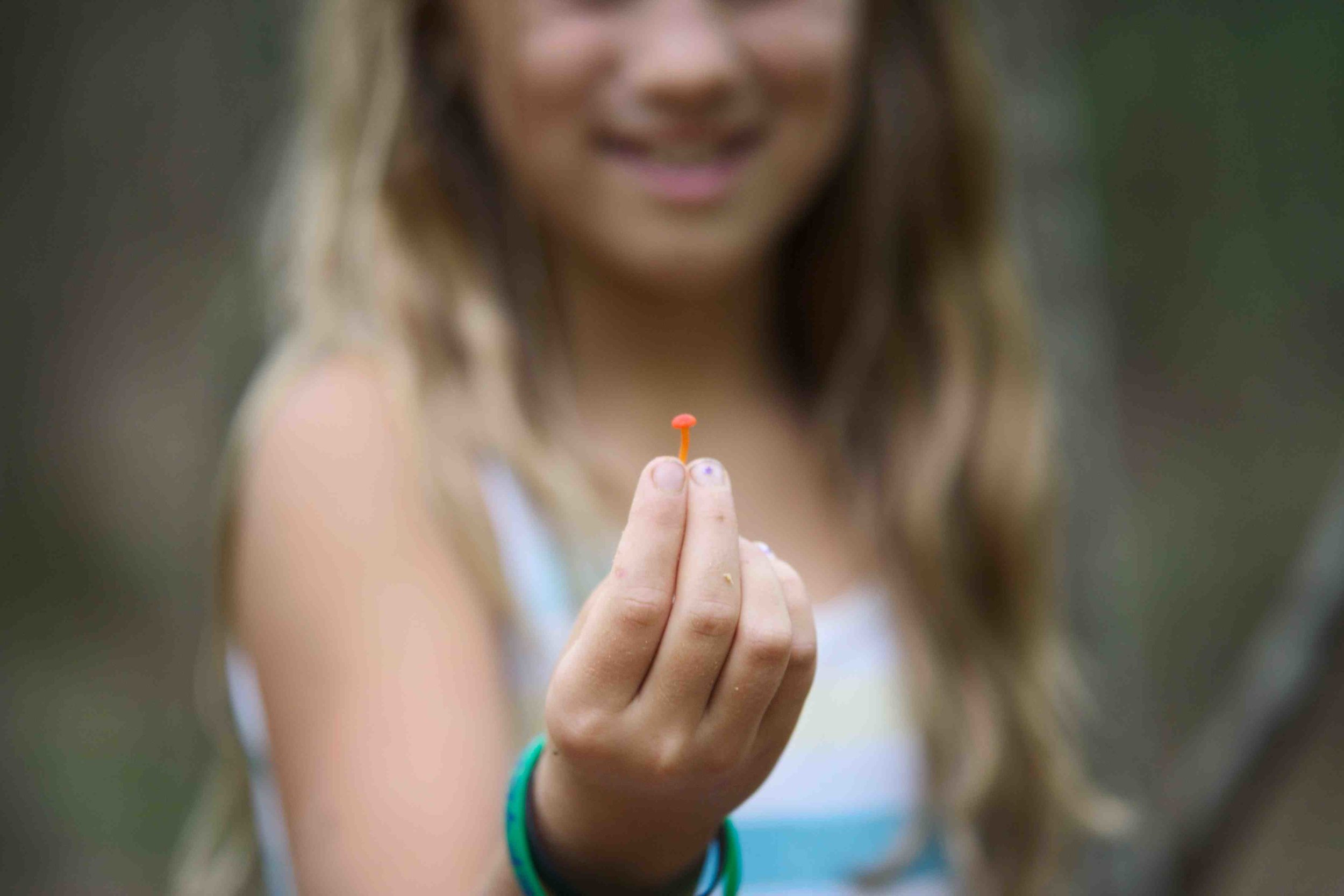 pmei- camper w tiny orange mushroom.jpg