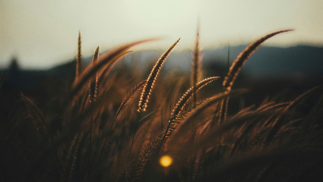 Once-a-Year Fundraising Dinner