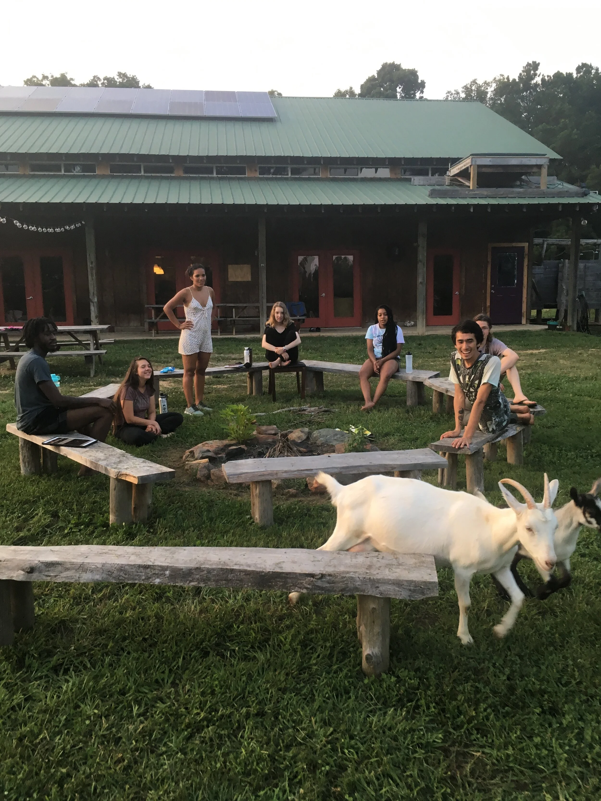 Let's COVID-ly Reconsider College