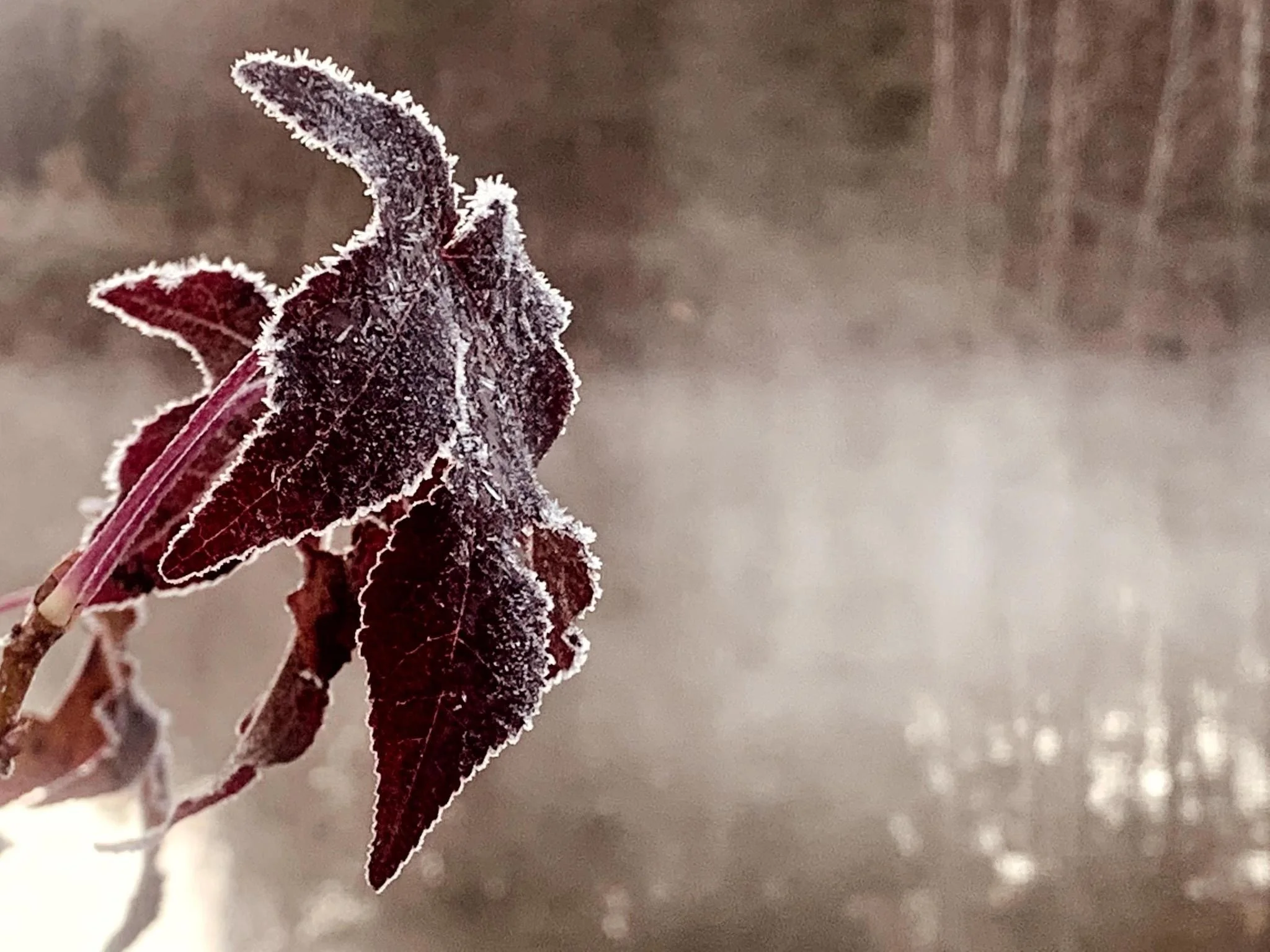 Strategic Evaluation & Imagining our Way Forward