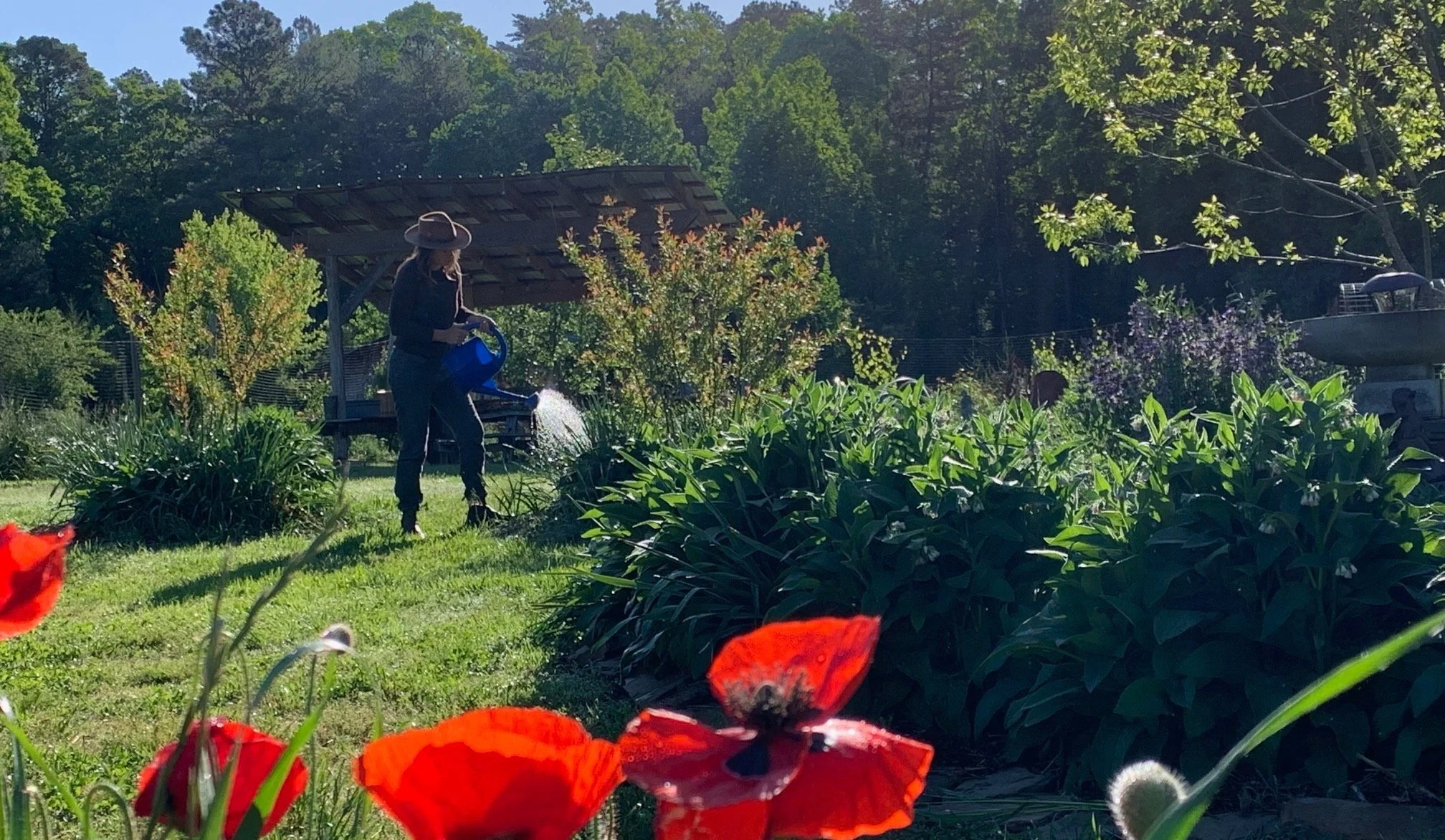 Big Changes! A New Chapter for the Eco-Institute