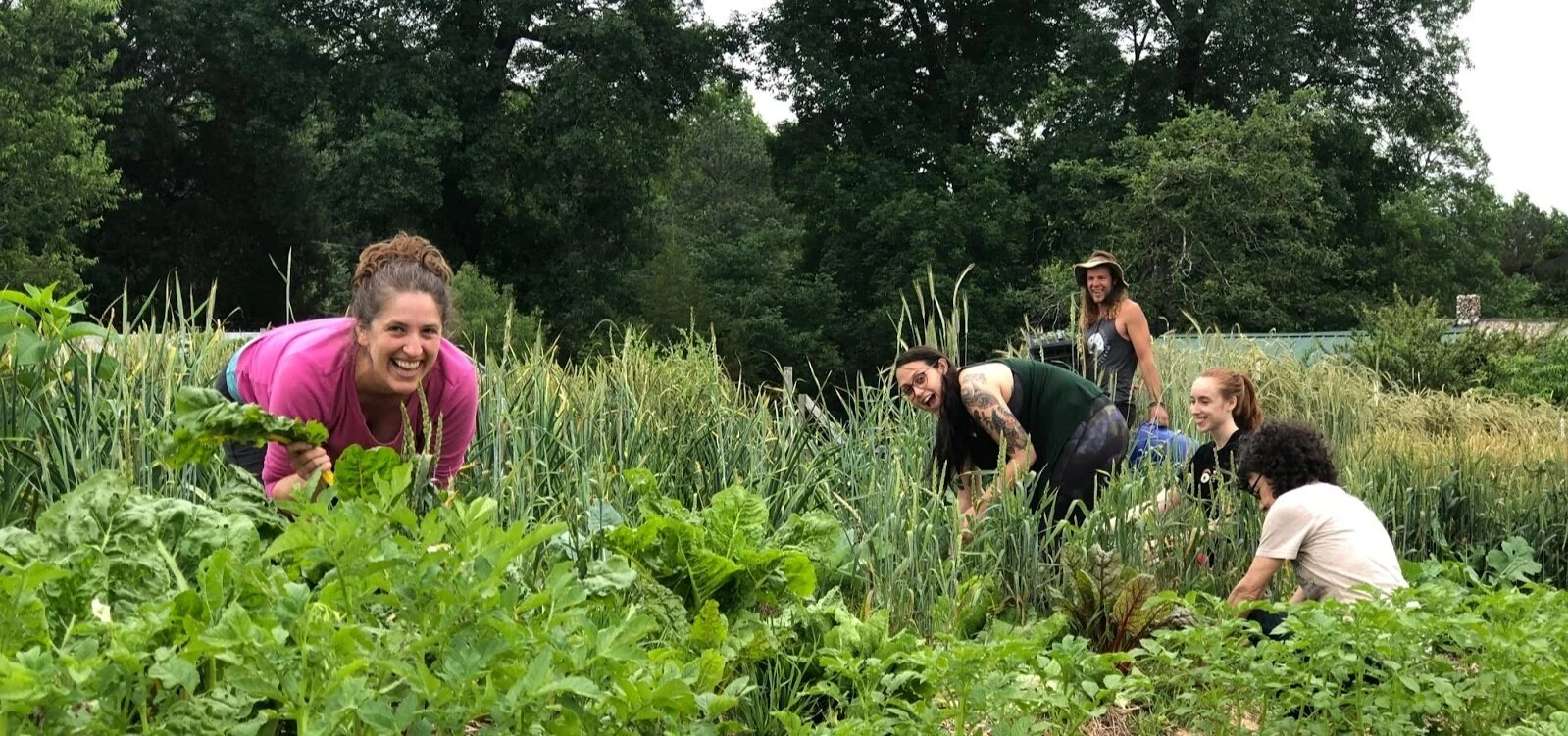 Gardening+Farming+Education+The+Eco-Institute