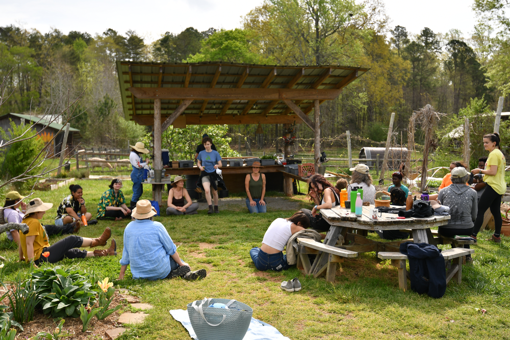 The Eco Institute Edible Gardening Education The Eco Institute