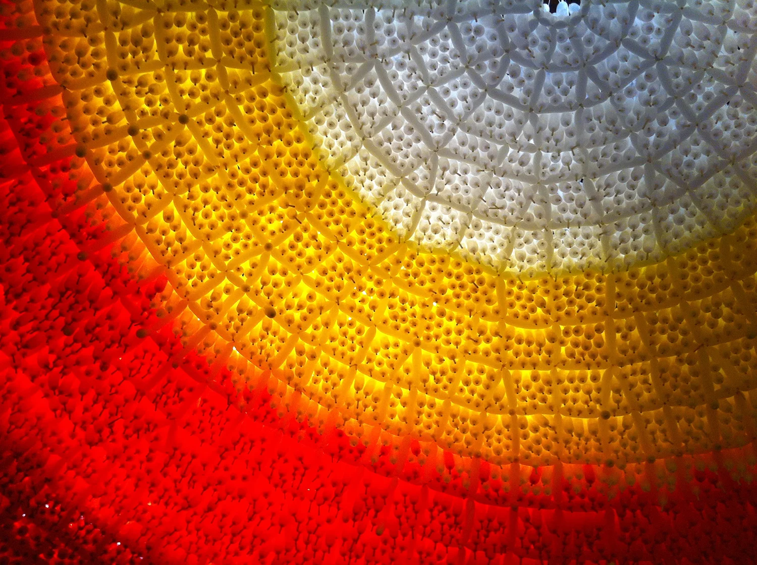 corona-05.jpg