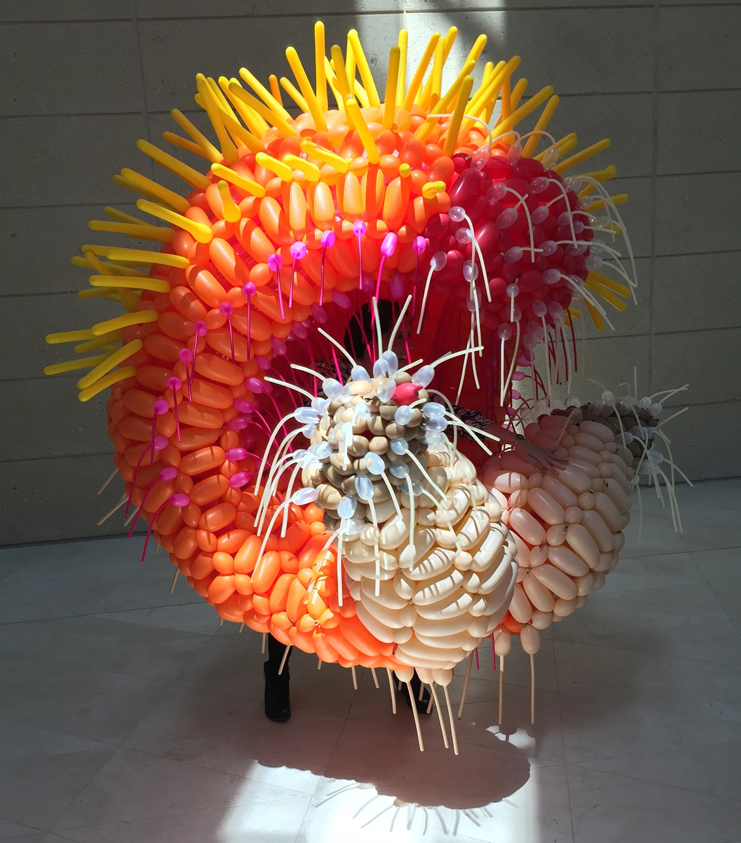 The Cobra turned.jpg