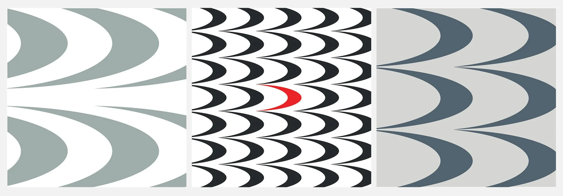 WINGS-Patterns.jpg