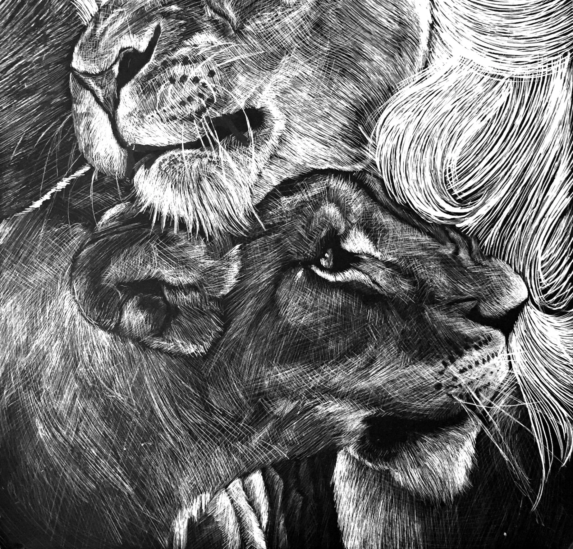 Scan Jan 5%2c 2016%2c 12.52 PM.jpg