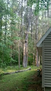 20150822_1814501.jpg