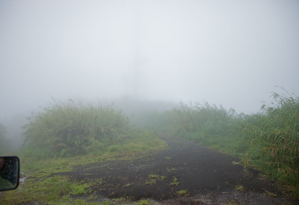 Morning Fog
