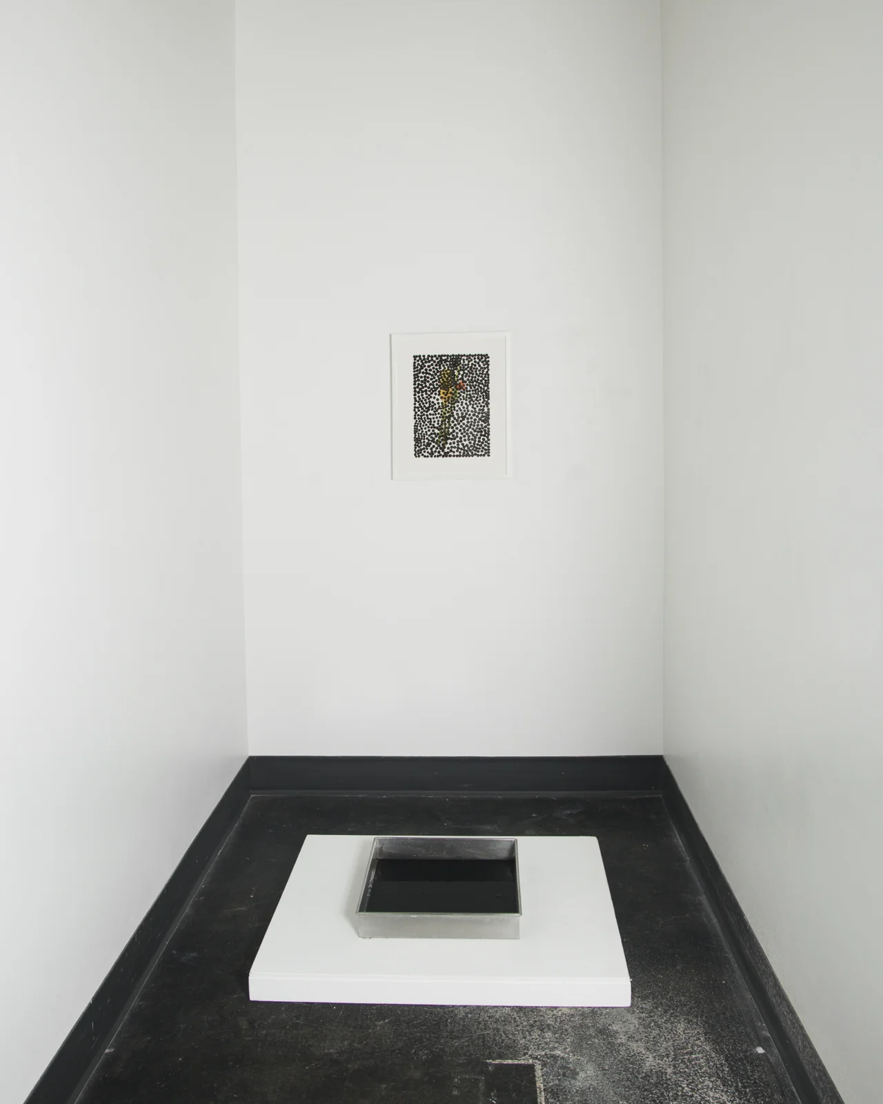 Obscured Flowers, 20 x 16 inches, black Sumi ink on inkjet print (wall) Black Pool, 20 x 24 x 4 inches, Sumi ink & water in stainless steel darkroom tray (floor)