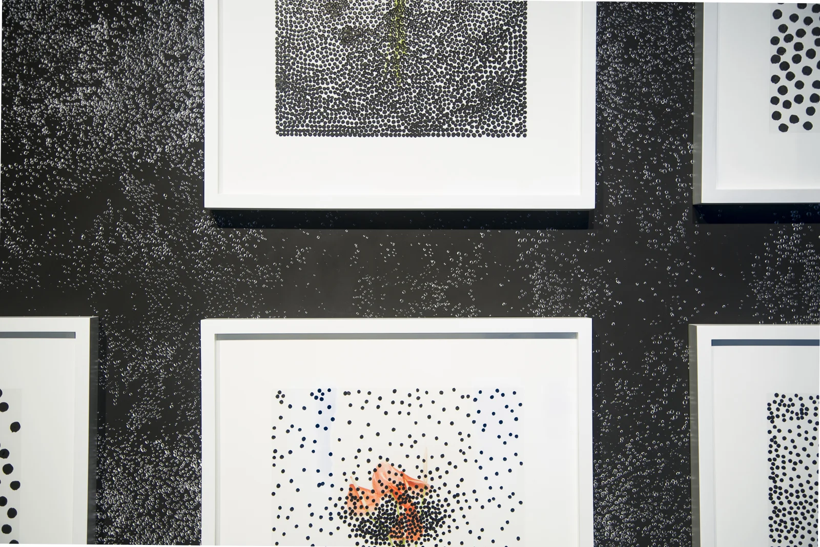 Obscured Flowers, 20 x 16 inches, black Sumi ink on inkjet print (foreground) Cosmos Wallpaper, 40 x 50 inches, inkjet print on adhesive paper (background)