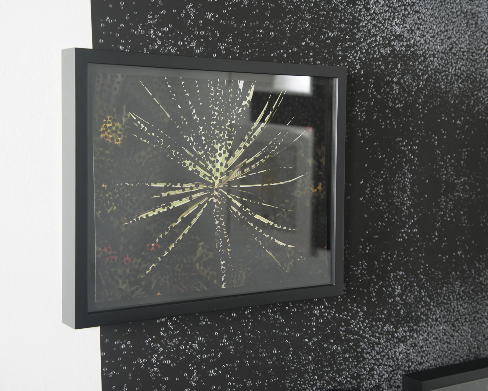 Obscured Night Flora #1, 11 x 14 inches, black Sumi ink on inkjet print (foreground) Cosmos Wallpaper, 40 x 50 inches, inkjet print on adhesive paper (background)