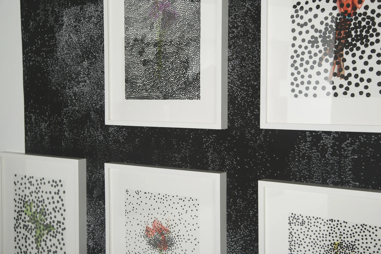 Obscured Flowers, 20 x 16 inches, black Sumi ink on inkjet print (foreground) Cosmos Wallpaper, 40 x 50 inches, inkjet print on adhesive paper (background)