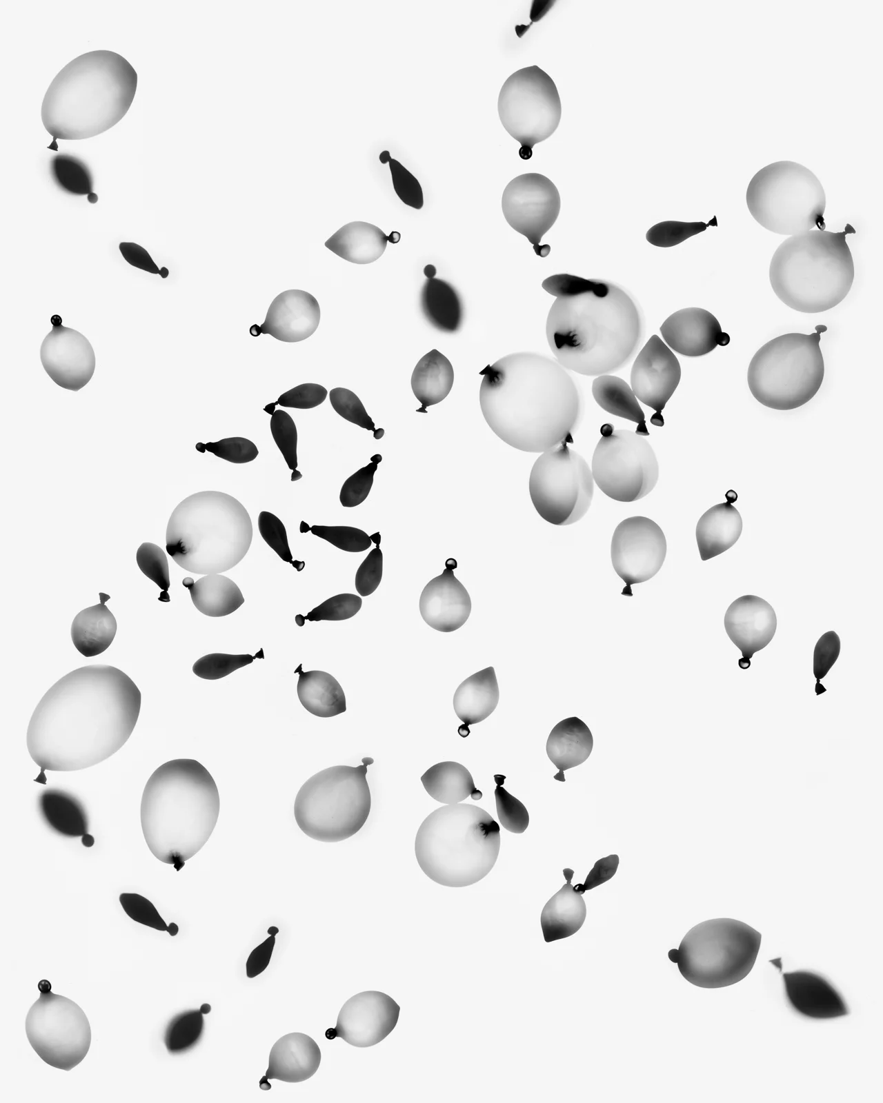 Balloon Wallpaper, 36 x 30 inches, inkjet print on adhesive paper