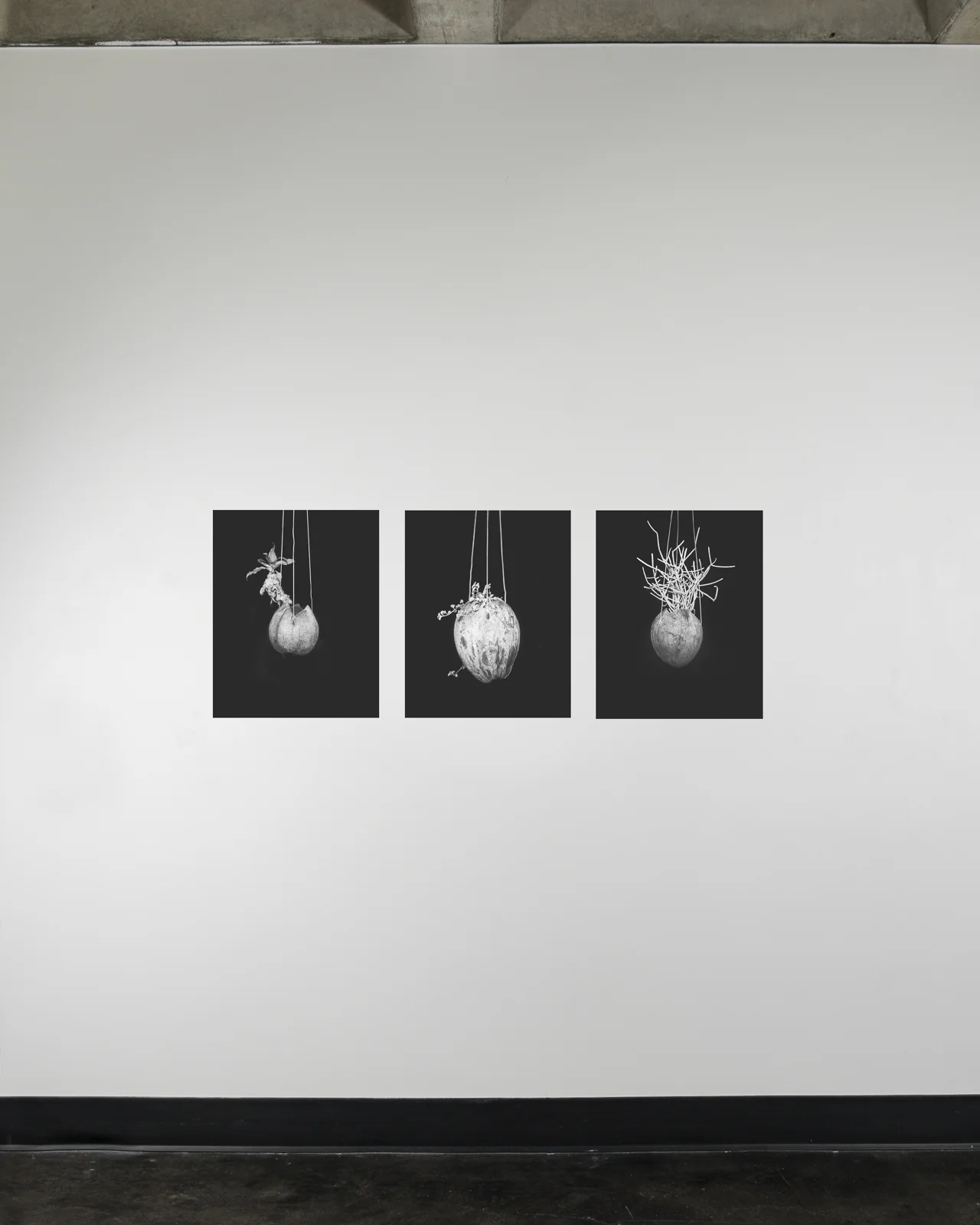 Hermit Triptych, 20 x 16 inches, inkjet print on adhesive paper