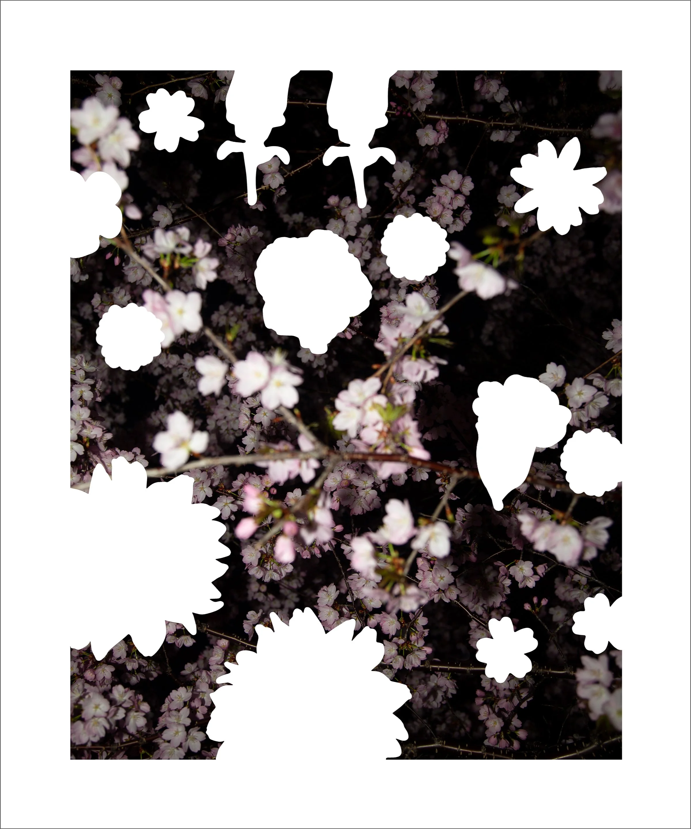 Kathleen Hawkes 01.jpg