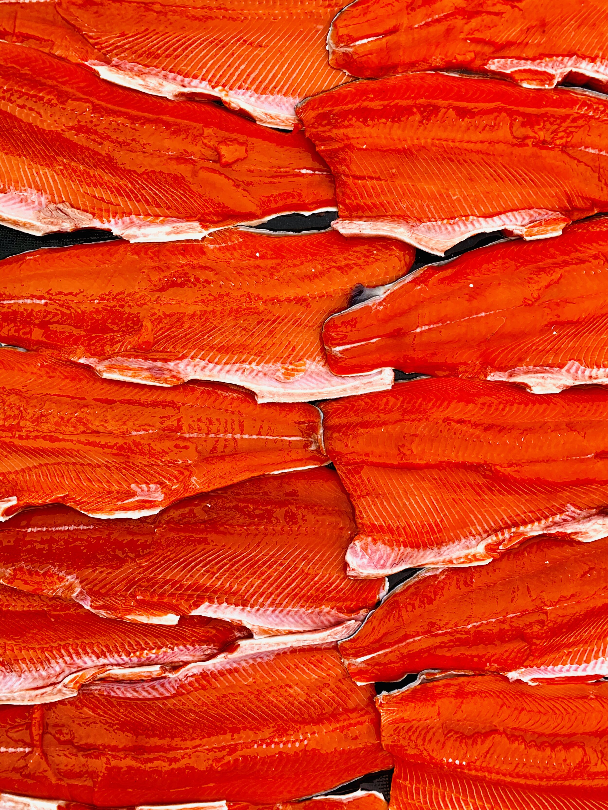 Bristol Bay Sockeye Salmon 2nd Place - Dahlia Berns