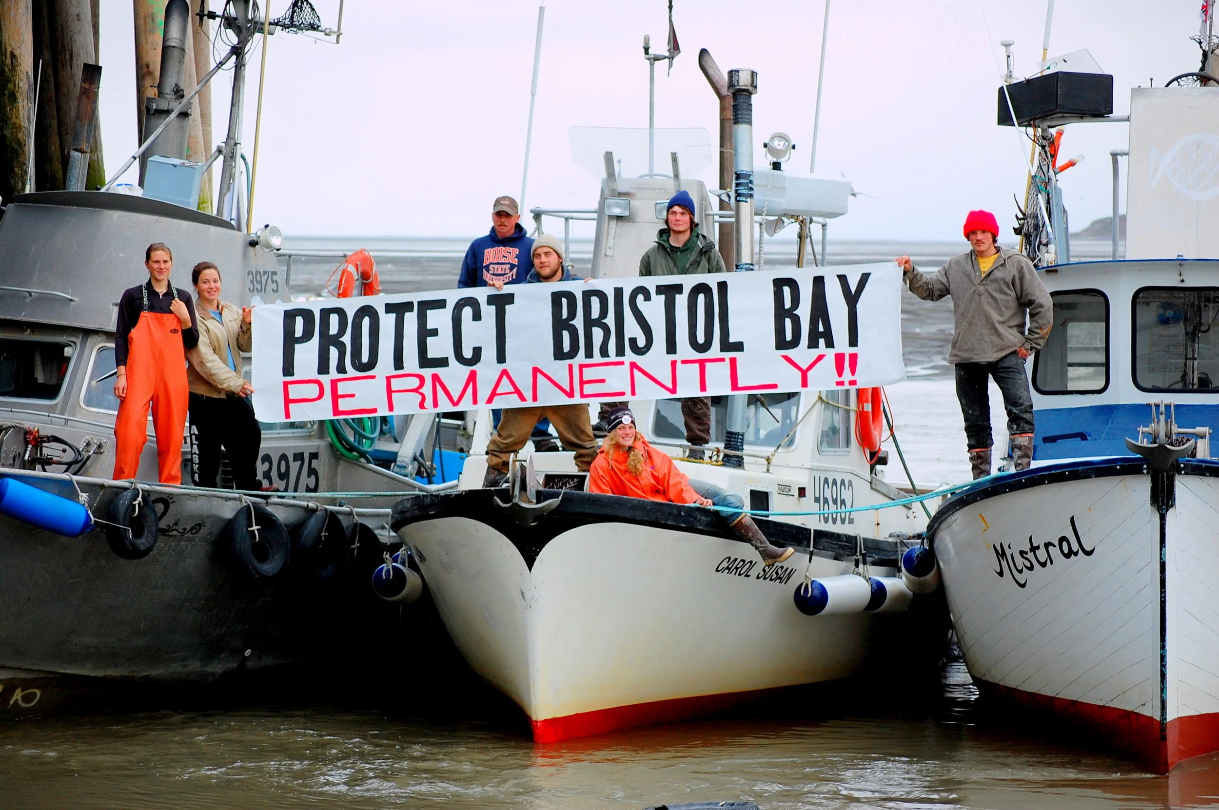 Protect Bristol Bay Salmon - NOW is the Time!