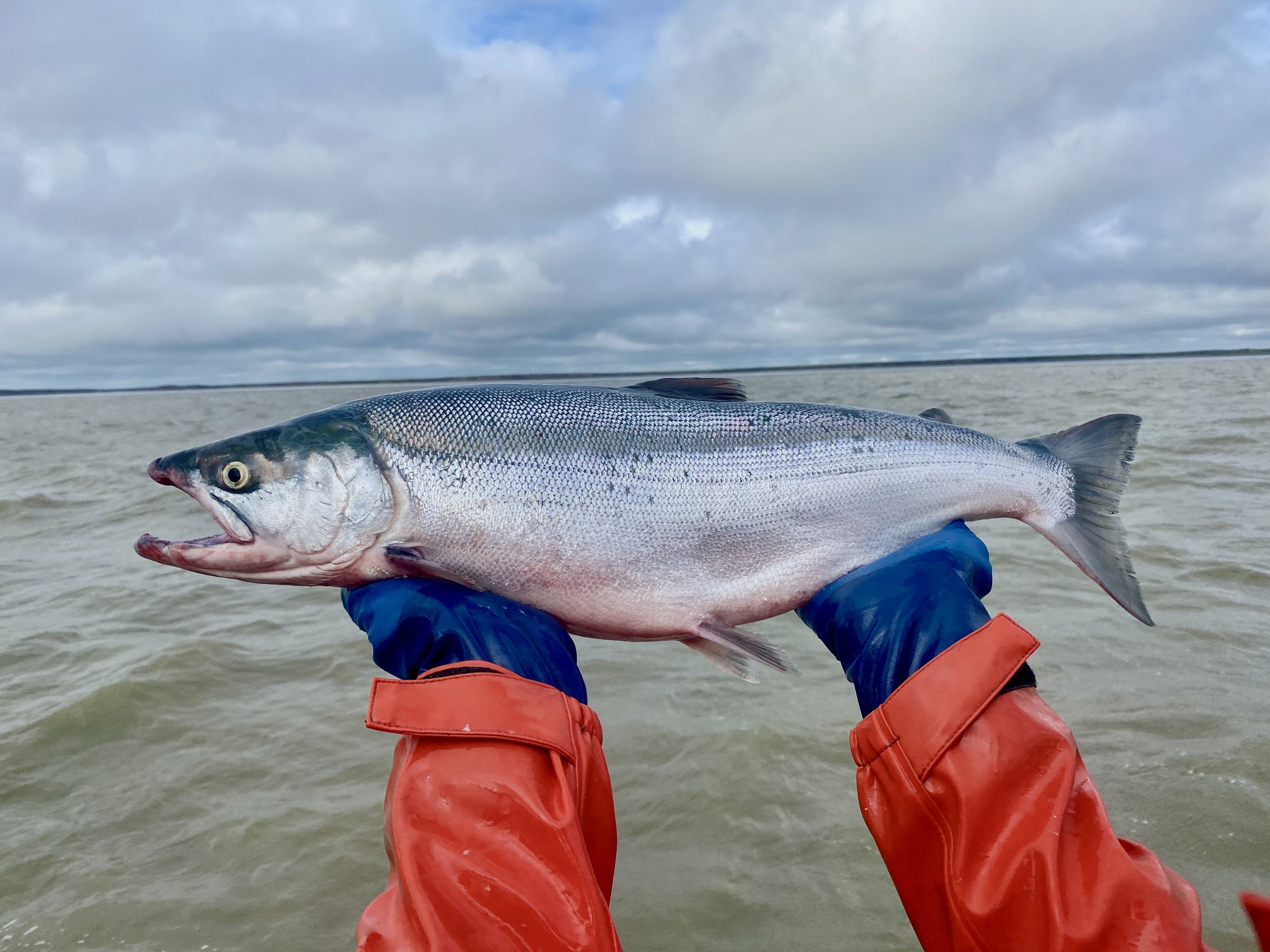 Success in Limiting Foregone Harvest