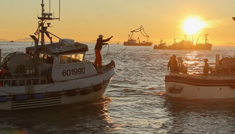 BBRSDA Asks Congress to Support U.S. Seafood