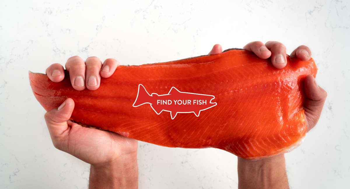 Fish Finder sign up.png