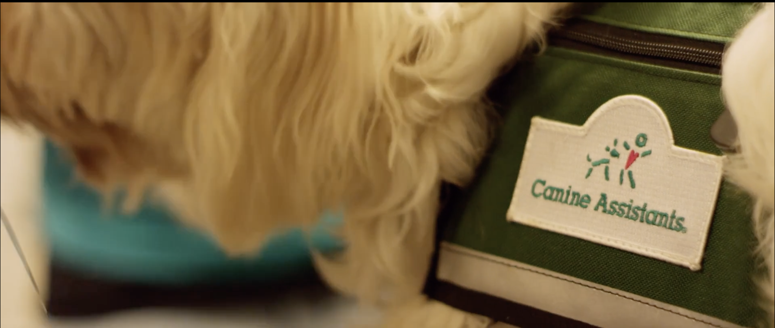 Screenshot 2025-09-04 at 9.52.20 AM.png