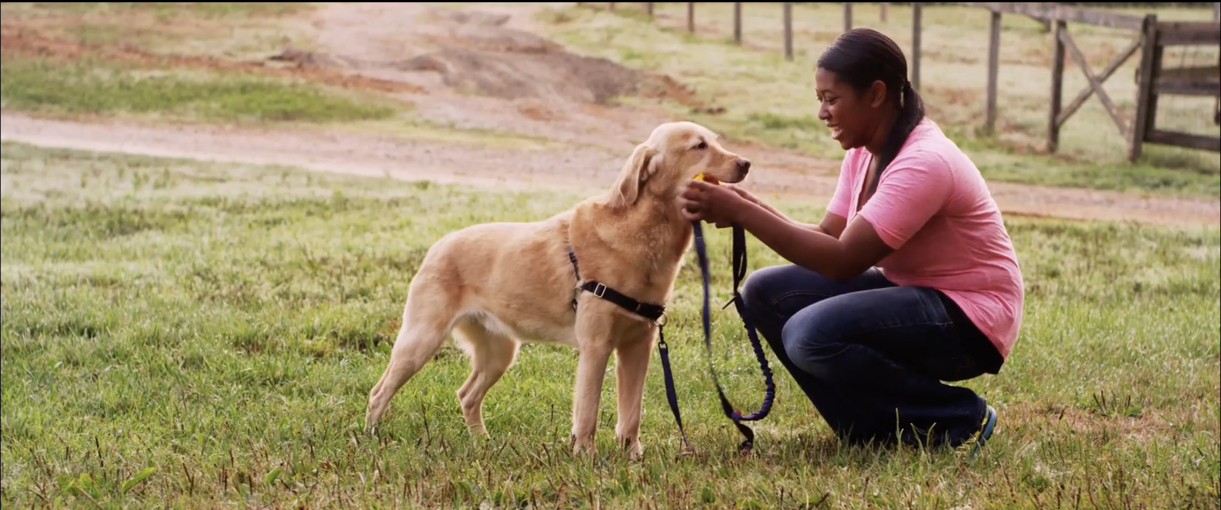 Screenshot 2025-09-04 at 9.50.20 AM.png