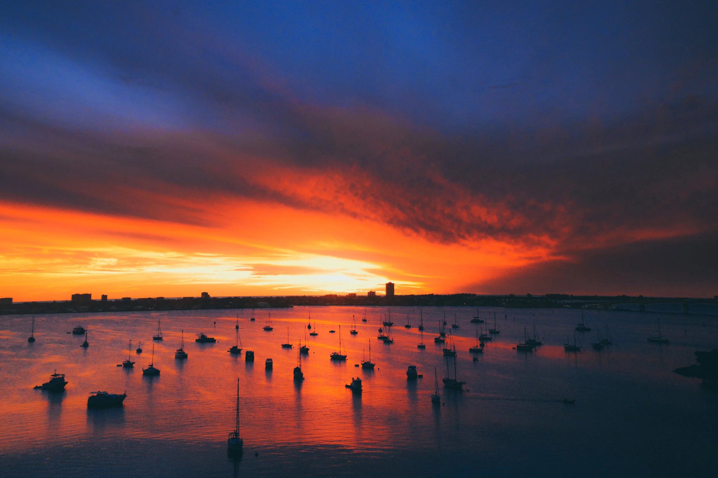 Sarasota Winter_.jpg