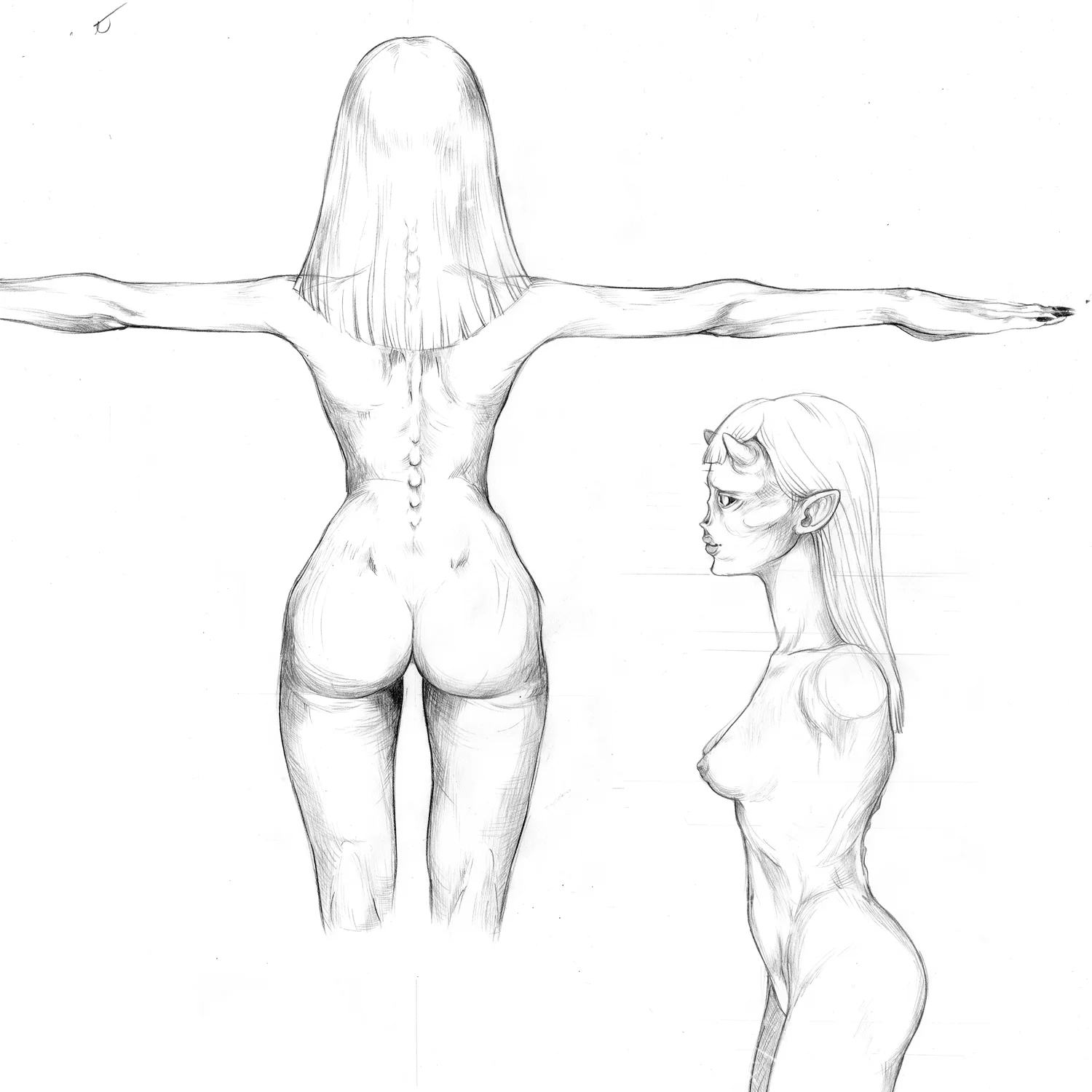 fef-back-and-side.jpg