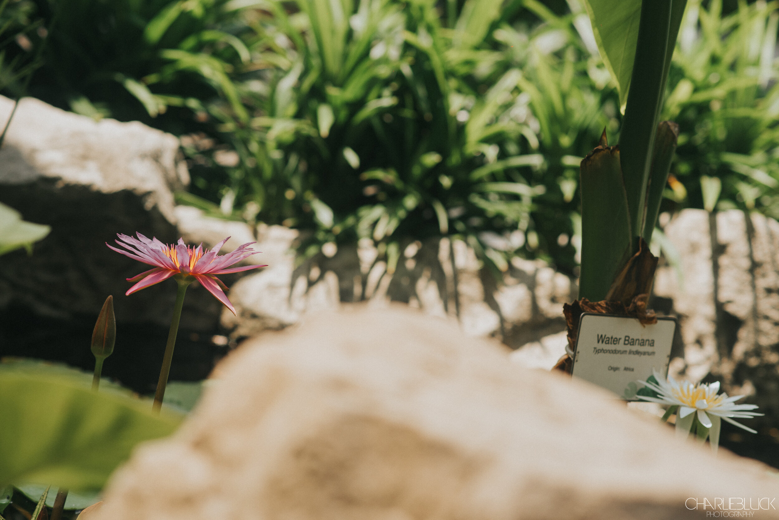 Philippines March 19 For Web-2.jpg