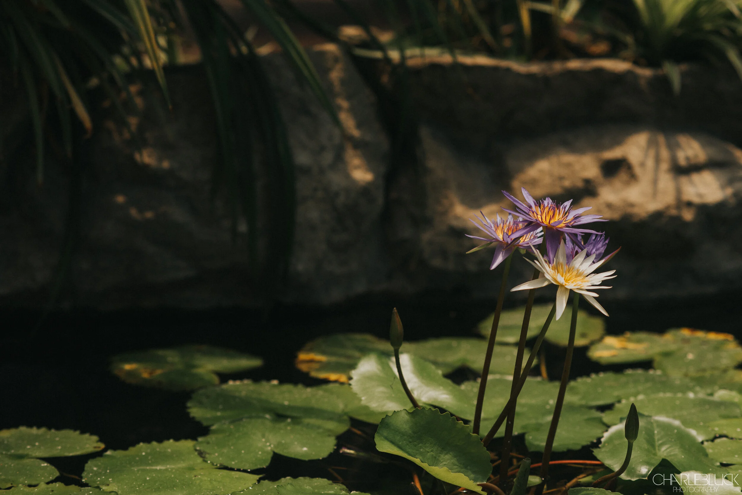 Philippines March 19 For Web-3.jpg