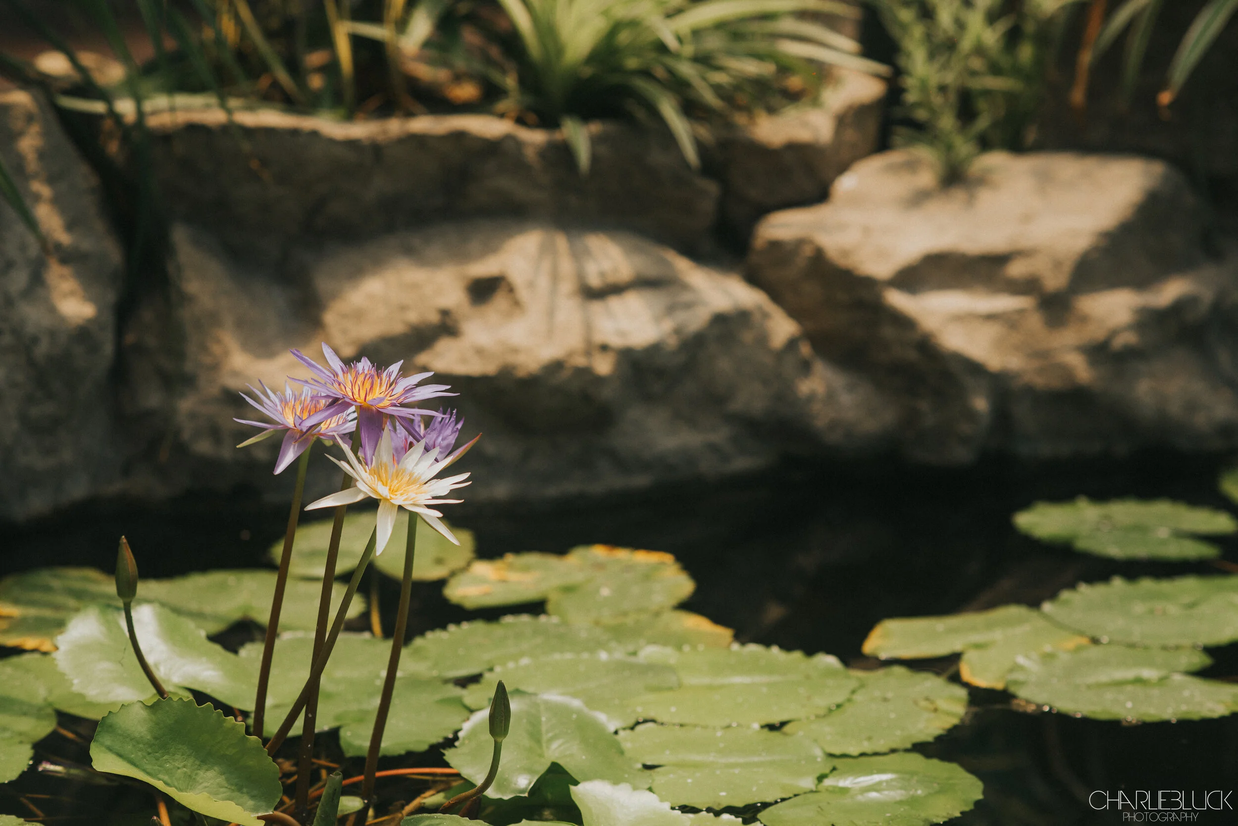 Philippines March 19 For Web-1.jpg