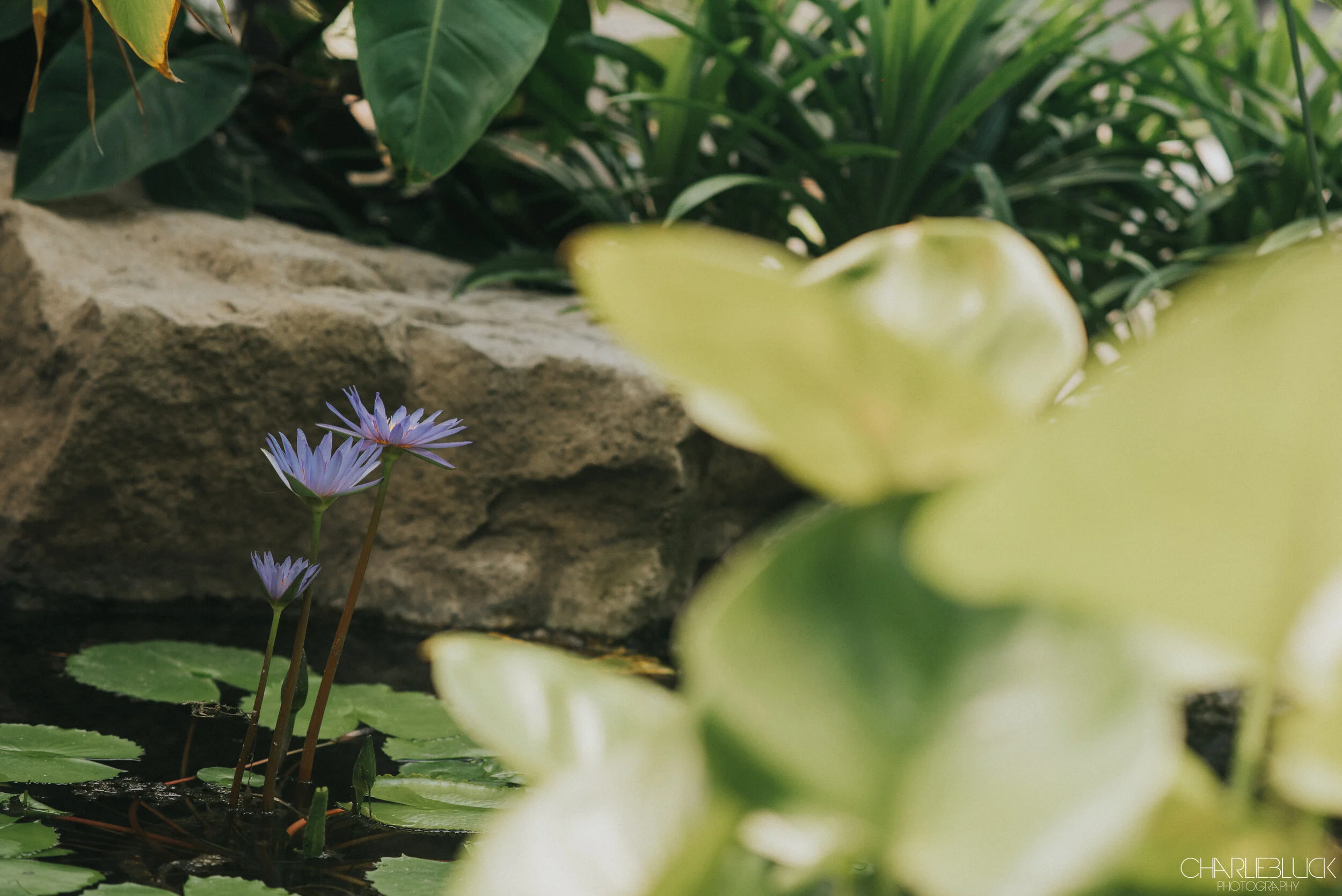 Philippines March 19 For Web-4.jpg