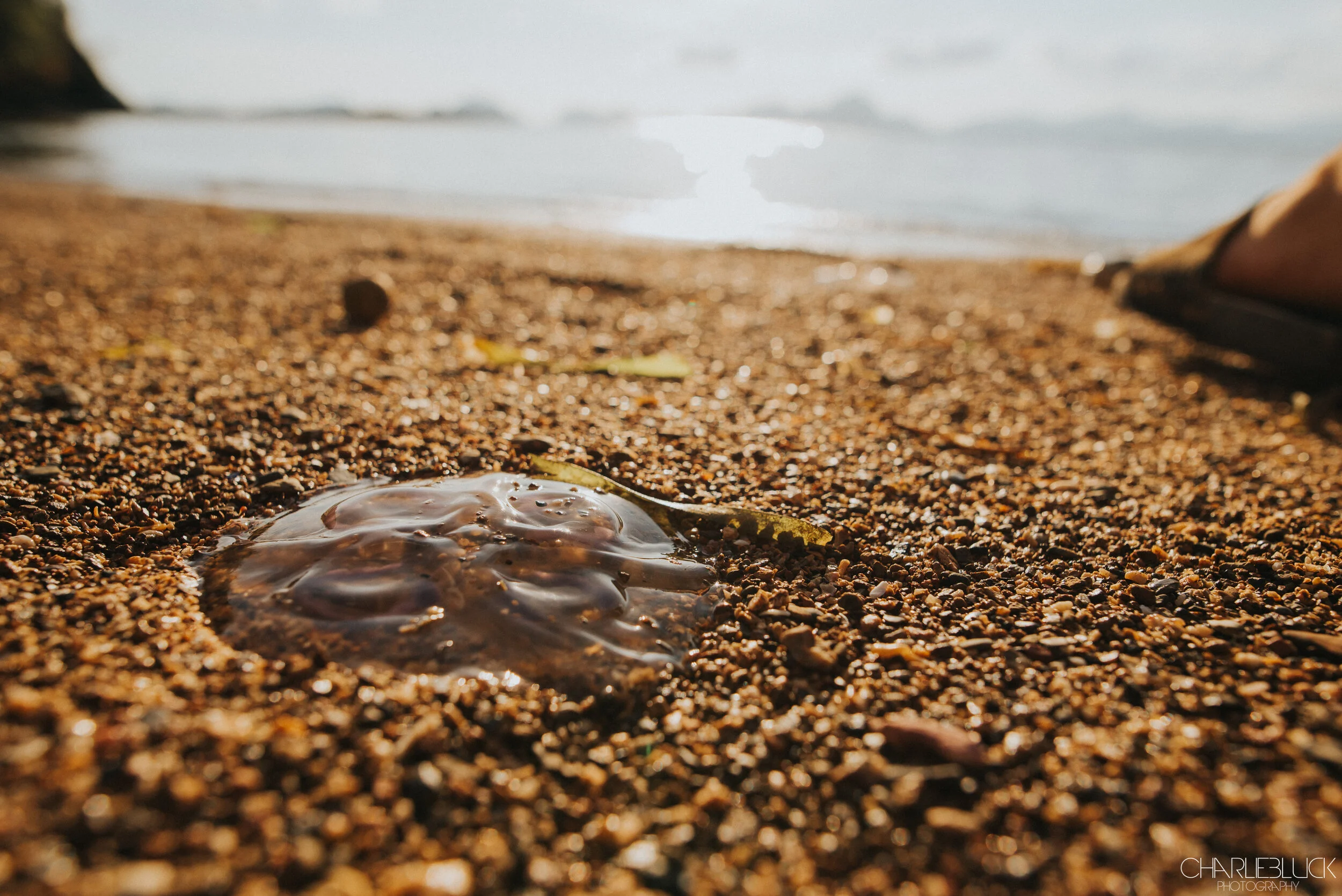 Philippines March 19 For Web-15.jpg