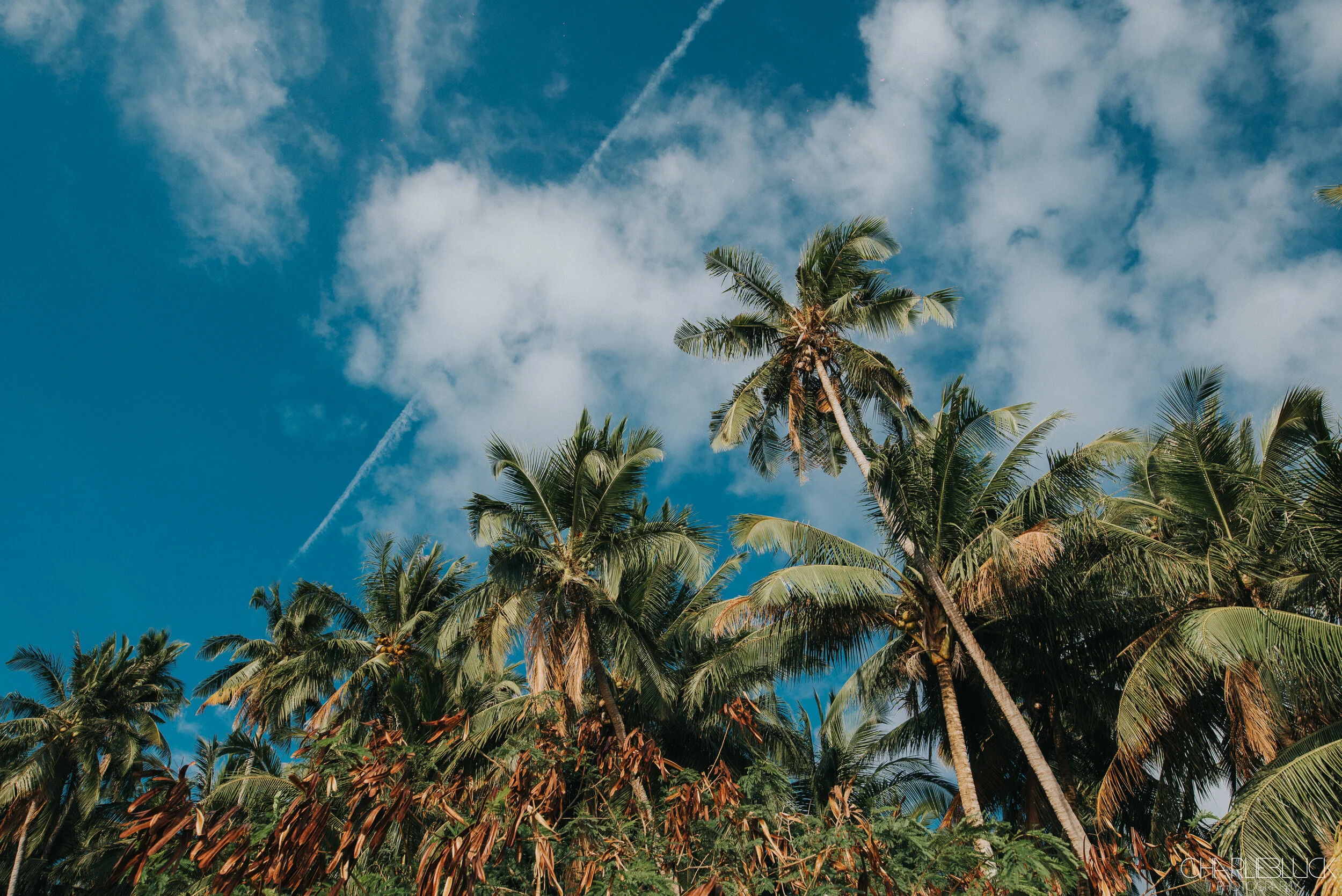 Philippines March 19 For Web-18.jpg