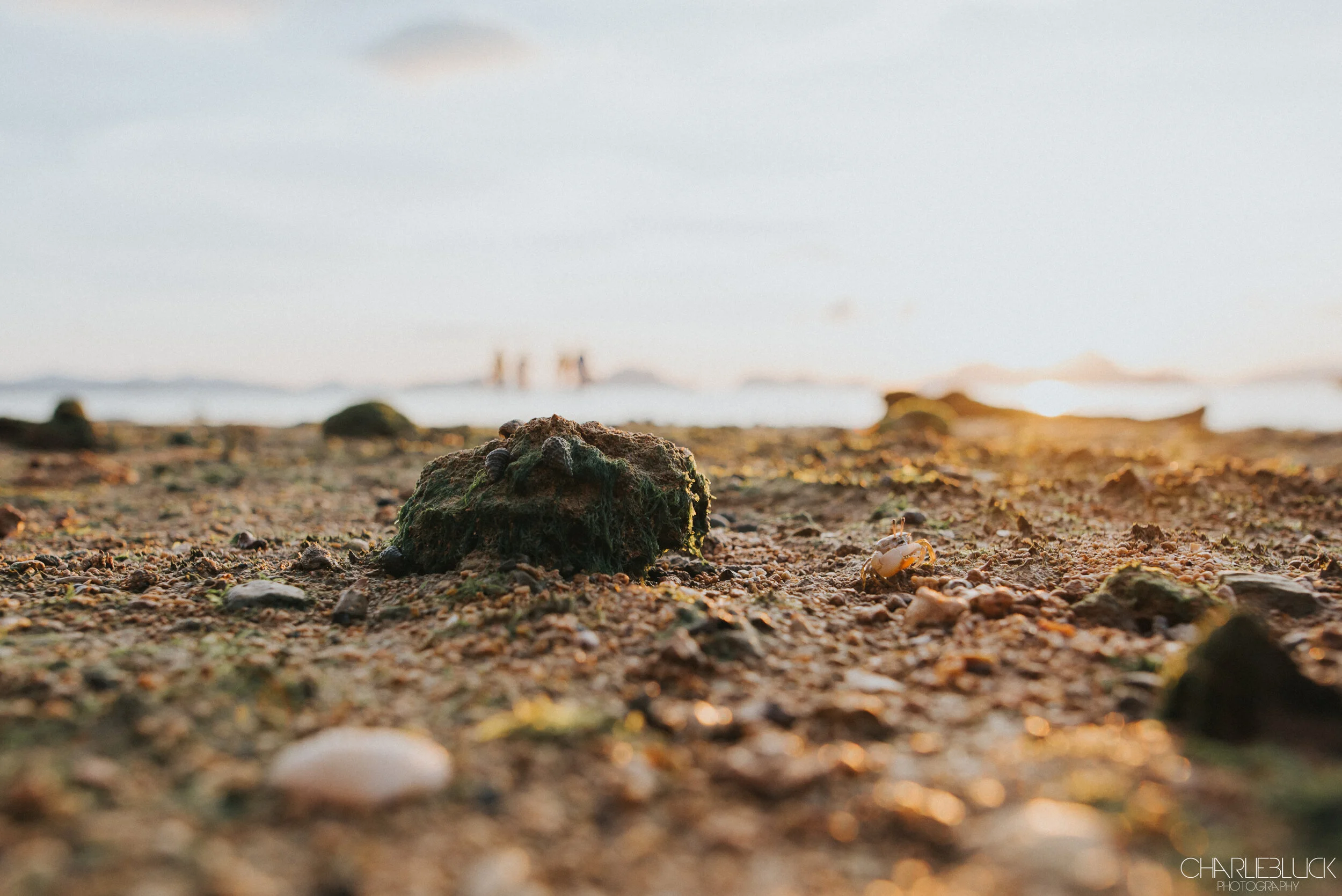 Philippines March 19 For Web-39.jpg