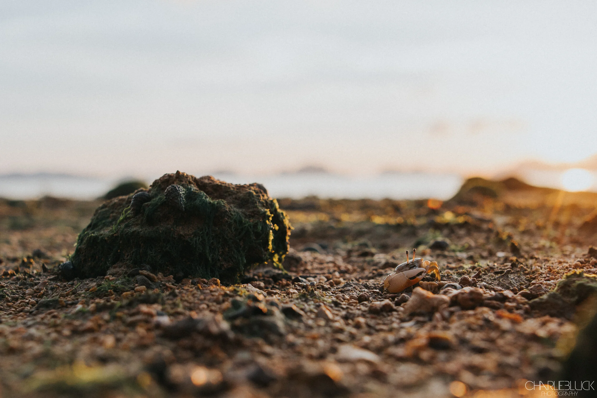 Philippines March 19 For Web-42.jpg