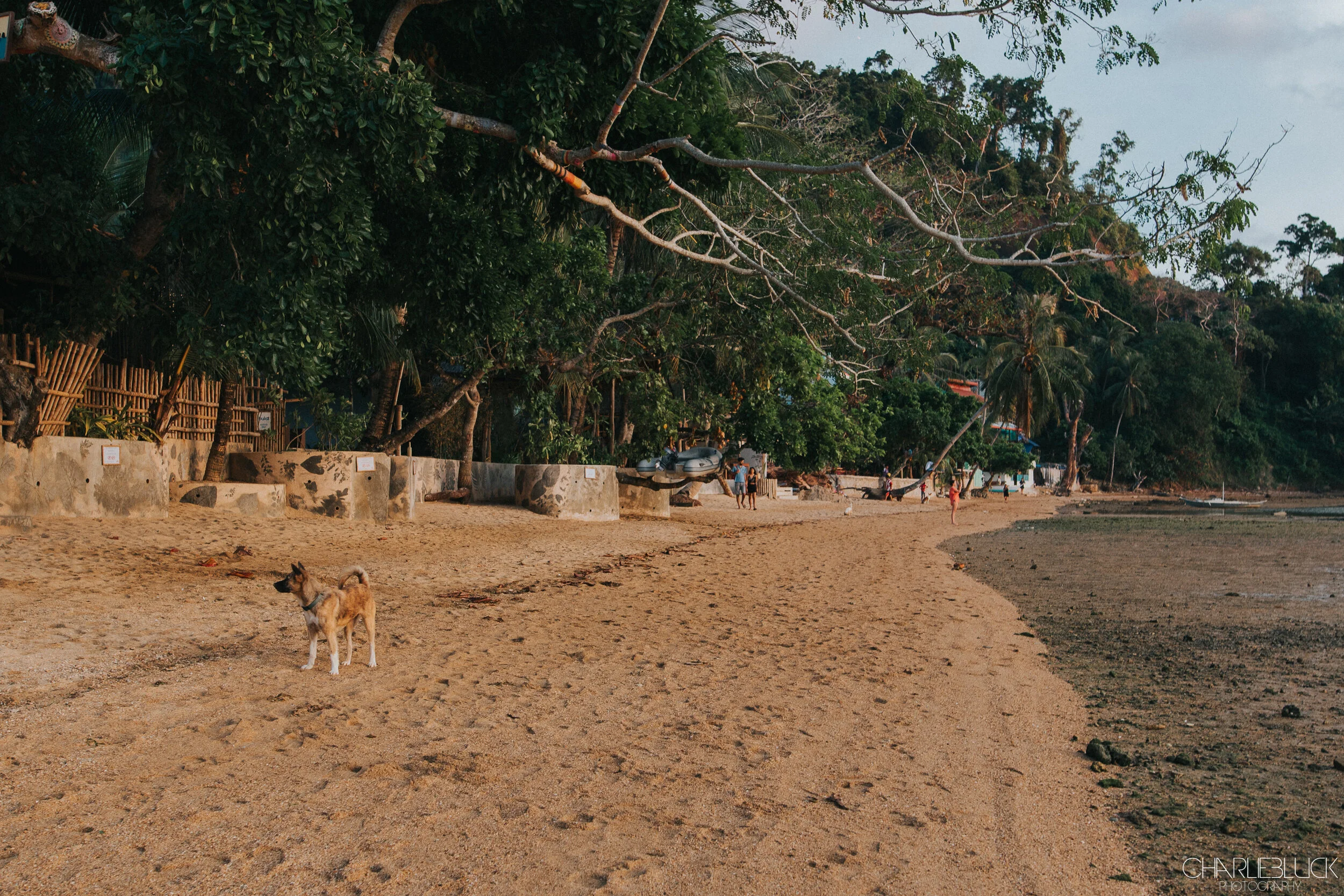 Philippines March 19 For Web-49.jpg