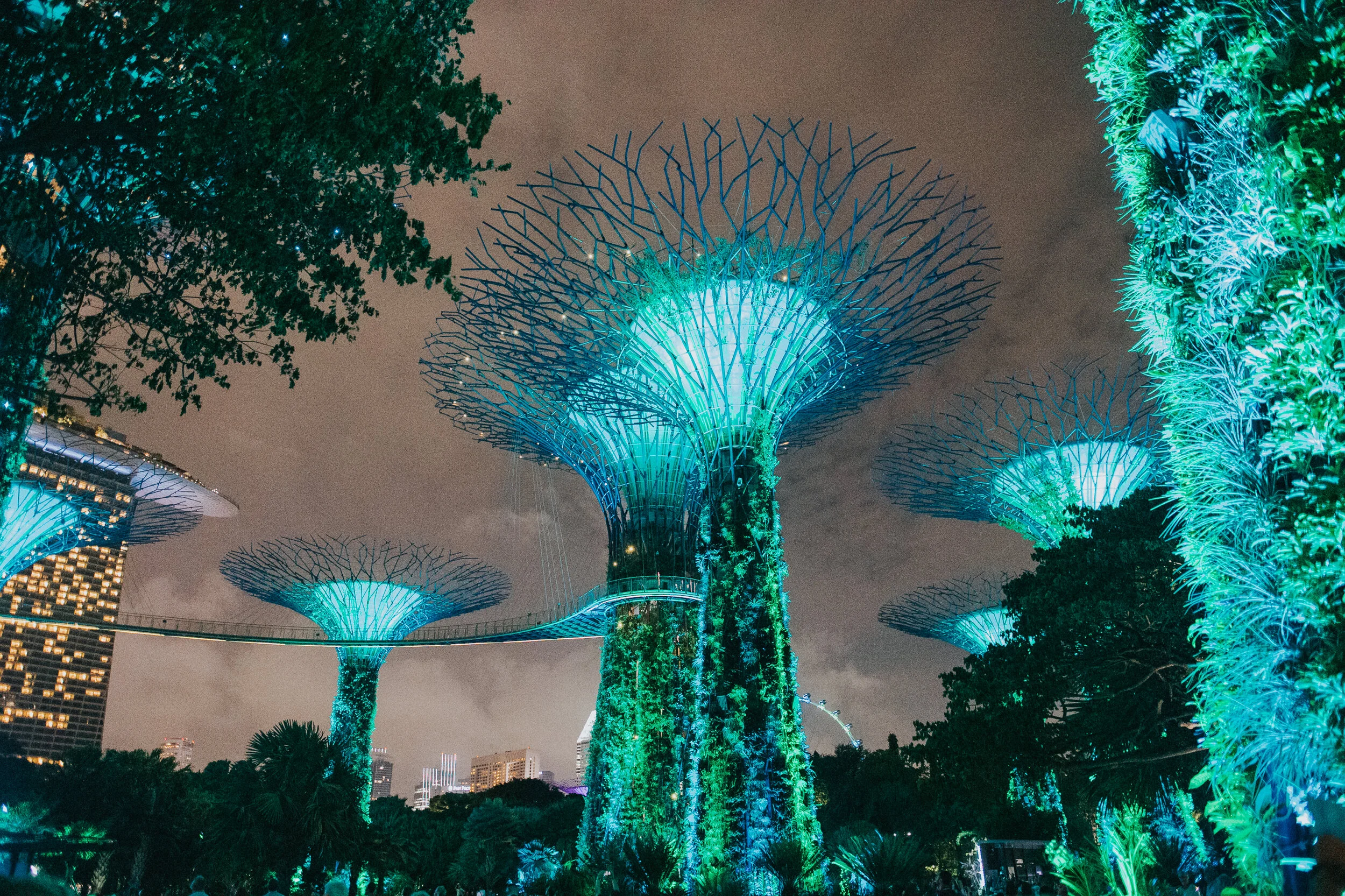 Charlie Bluck Photography X Singapore Feb 20-35.jpg