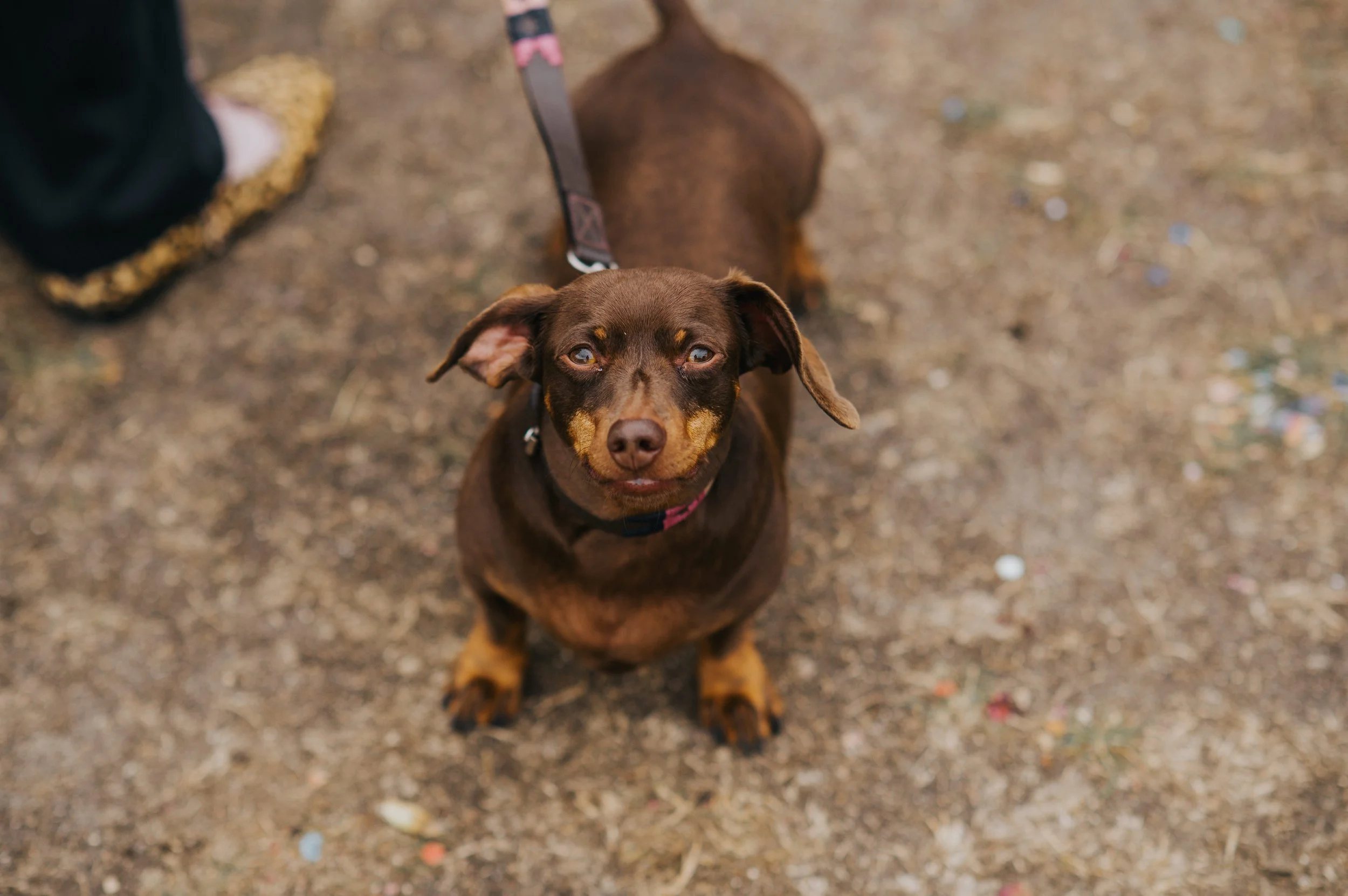 Charlie Bluck Photography X Kara & Jason - 305.jpg