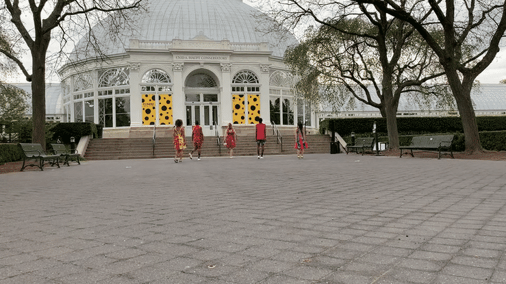 Spring Fever Dress Rehearsal 5321-high.gif