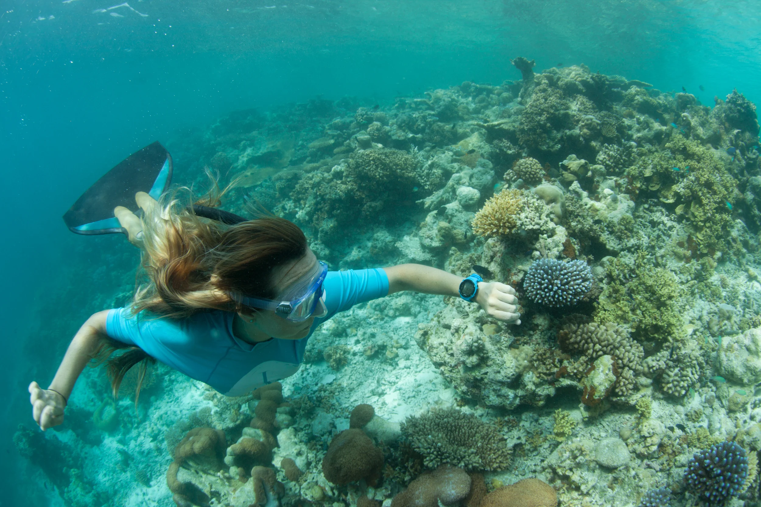 Are you a FREEDIVER?