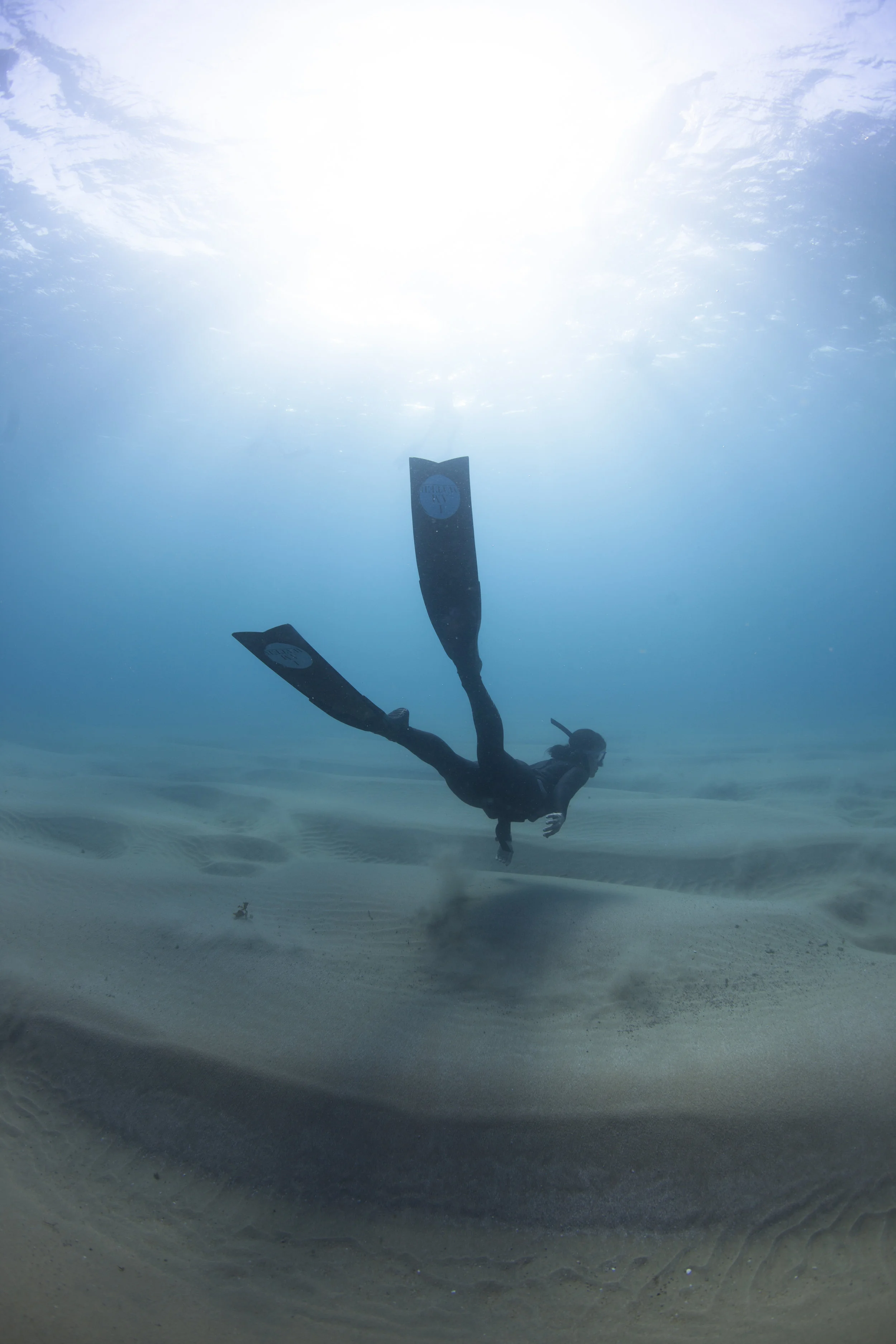 Bottom_Fins.jpg