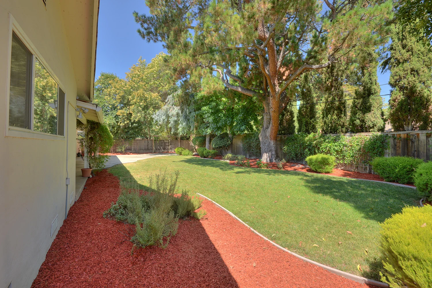 backyard1.jpg