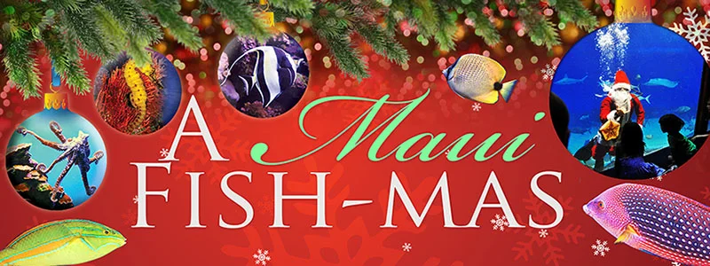 banner-december2013-enewsletter.jpg