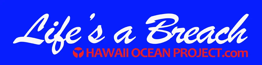 BumperSticker_PROOF2.jpg
