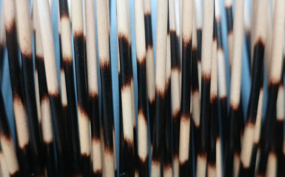 pq_detail.jpg
